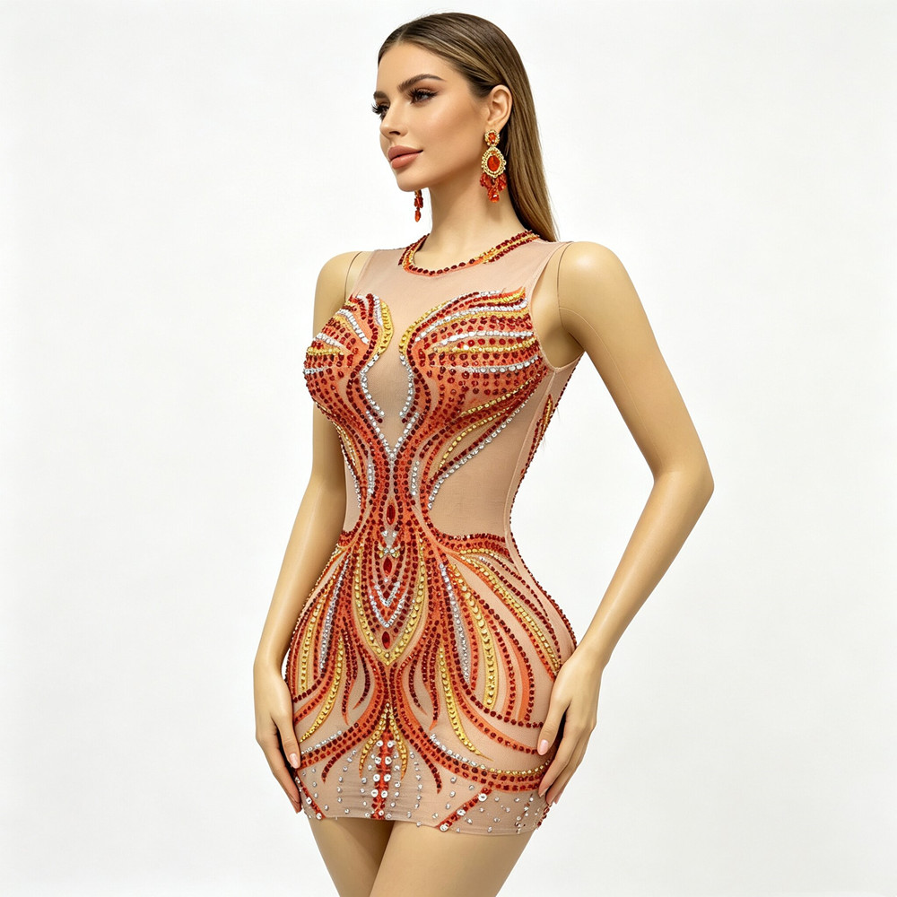 Women Sparkly Rhinestones Mesh - Sparkly Rhinestone Club Party Dress review and price